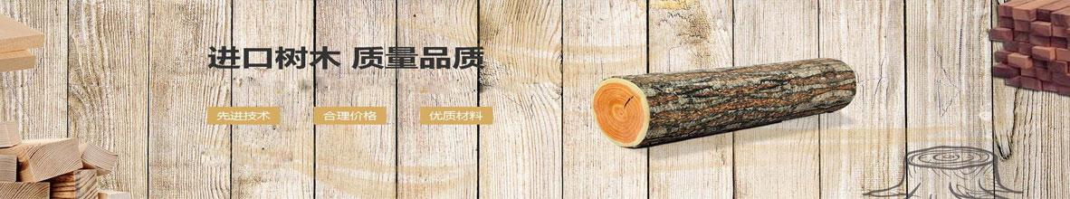 91视频最新网站.jpg
