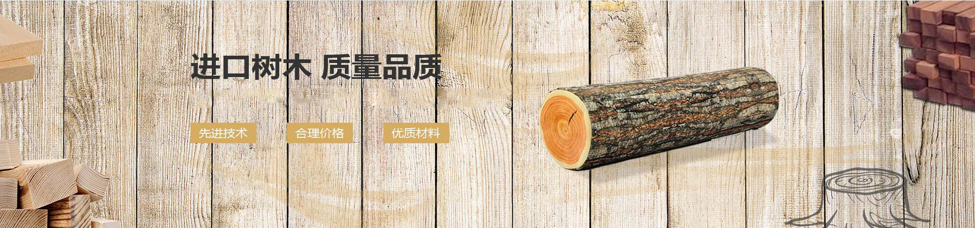 91视频最新网站