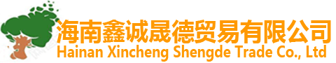 91视频最新网站